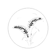 aroora agriculture